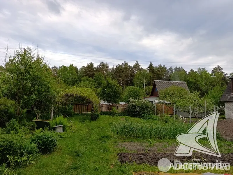 участок, Меркурий ТПП,