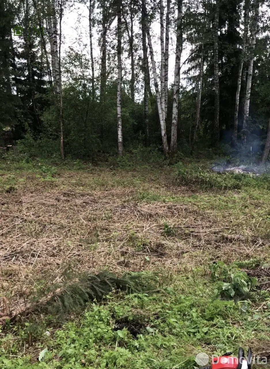 Купить земельный участок, 6 соток, Зеленый Остров, Минская область, 9000USD, код 570612 - фото 12