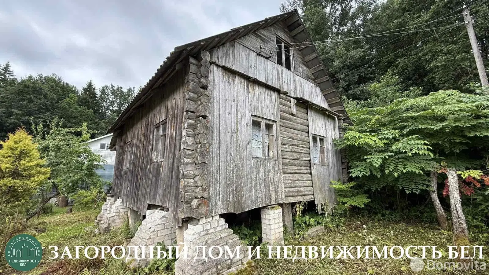 дача, Ботаника, 