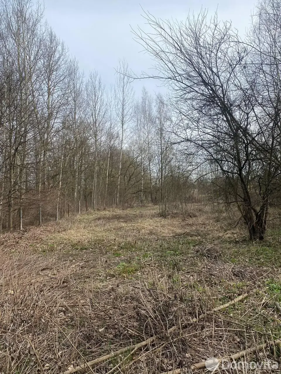 Цена продажи участка, Клыповщина, ул. Центральная