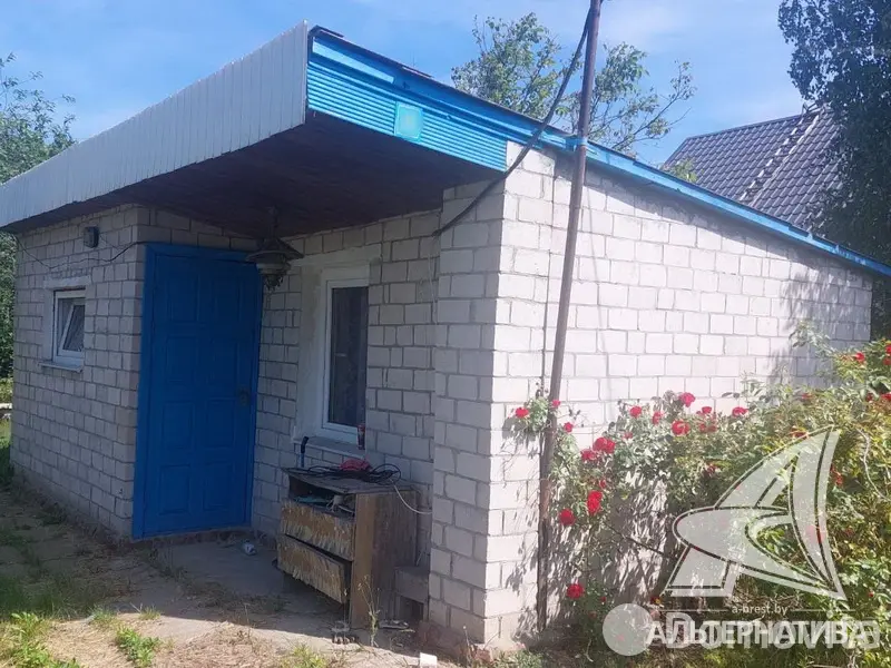 дача, Транспортник-91, 