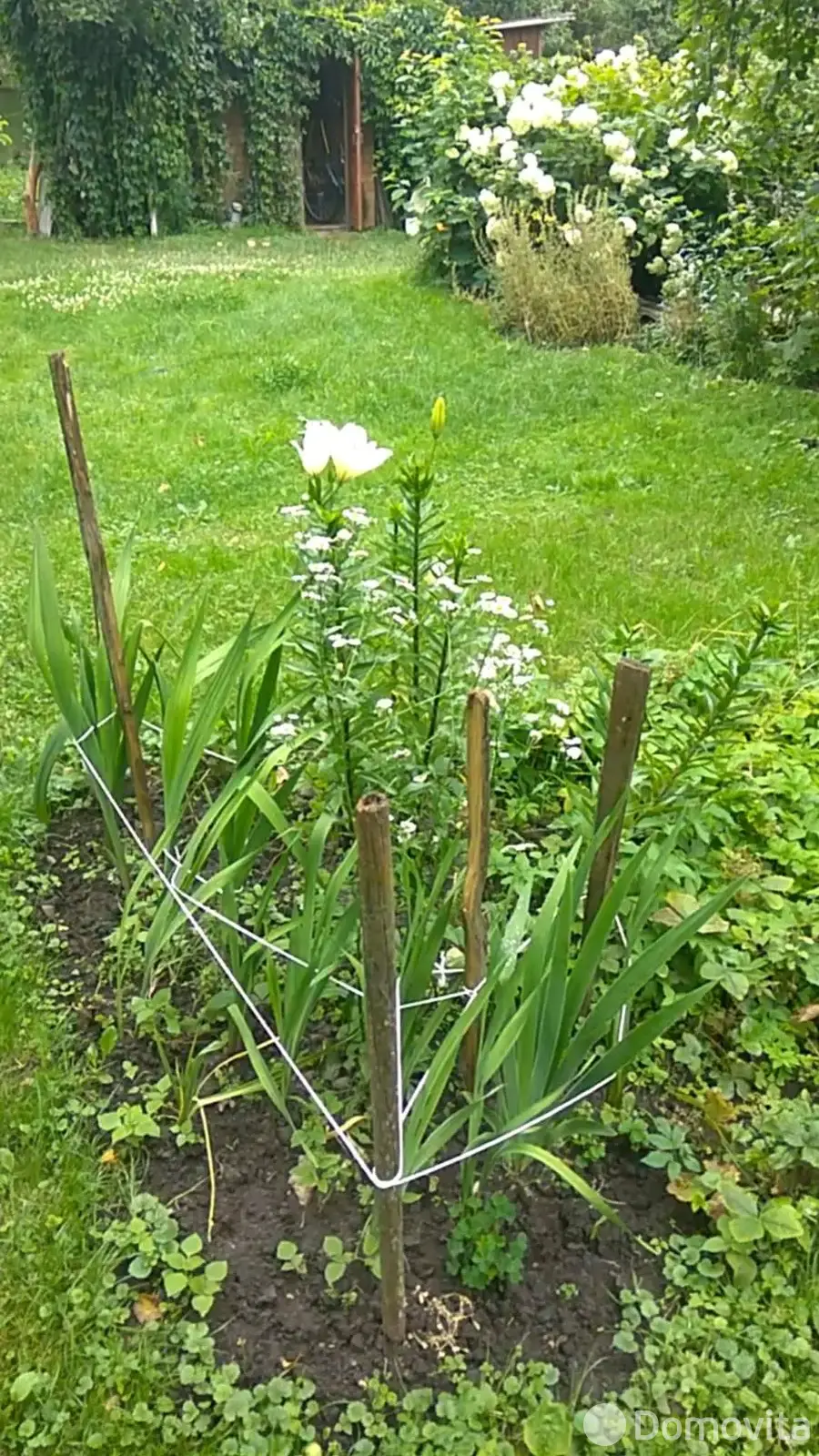 дача, Верас, 