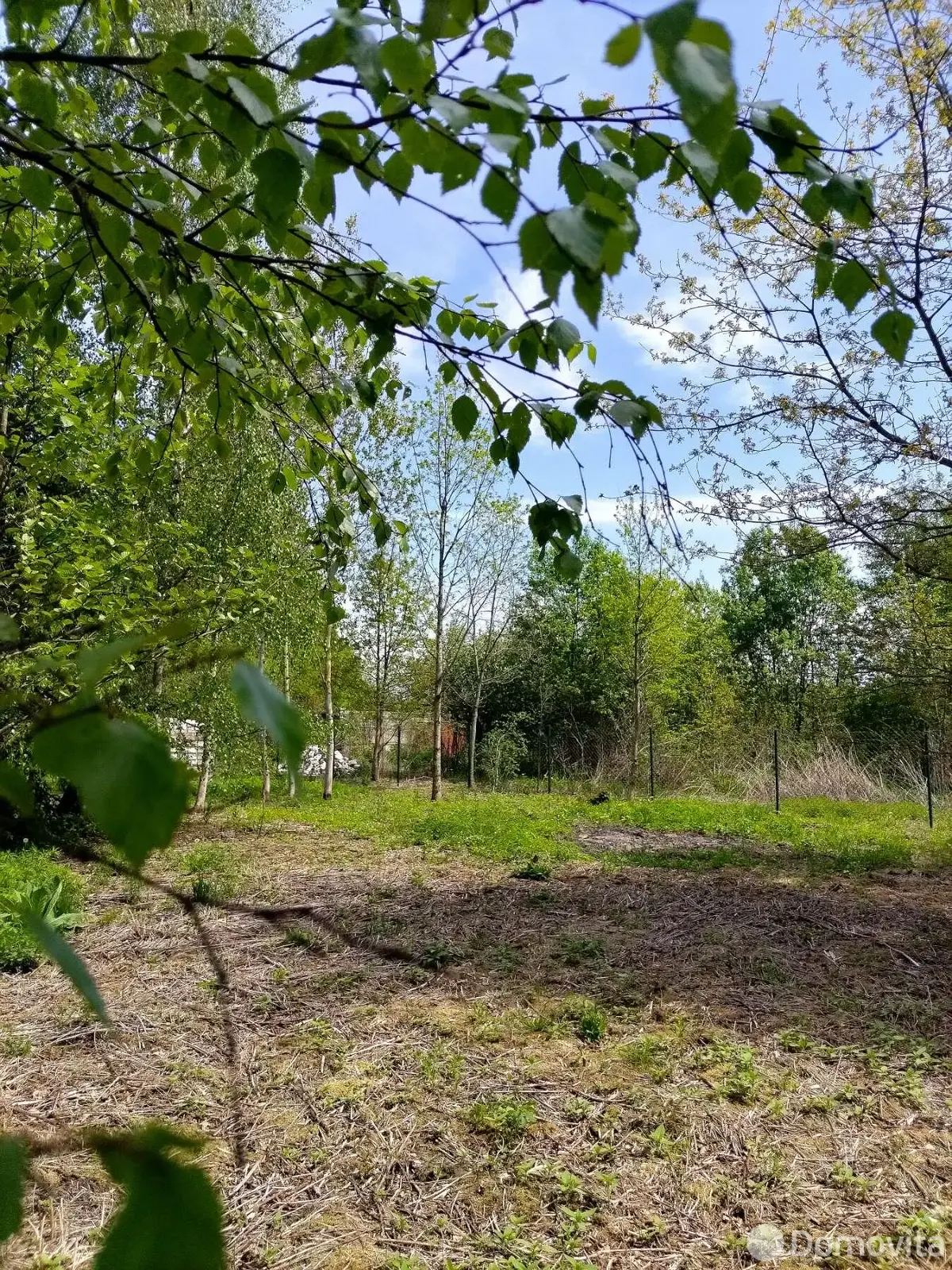 Продажа 1-этажной дачи в Латушках Витебская область, 45000BYN, код 186207 - фото 17