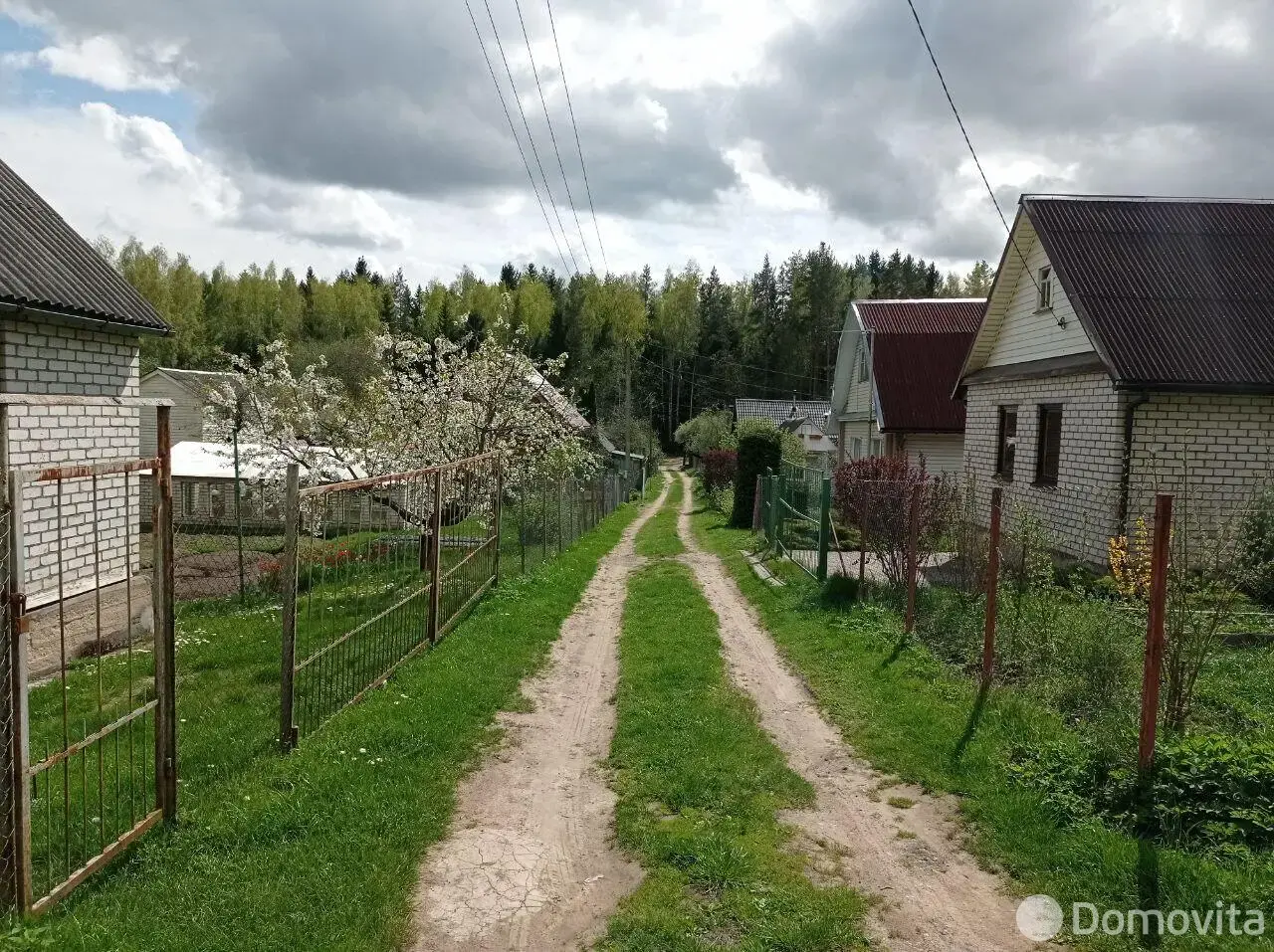дача, Зорька, 