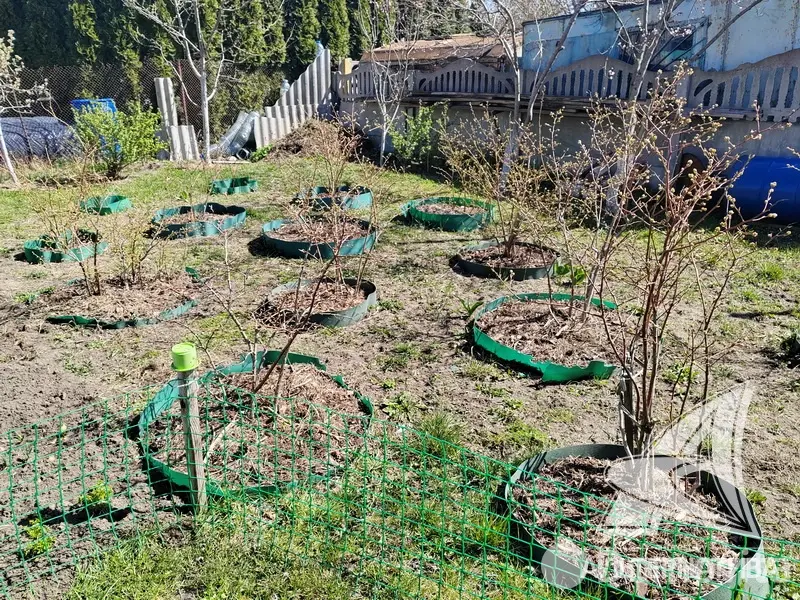 Купить 2-этажную дачу в Вымпел УВД Брестская область, 125000USD, код 182309 - фото 24