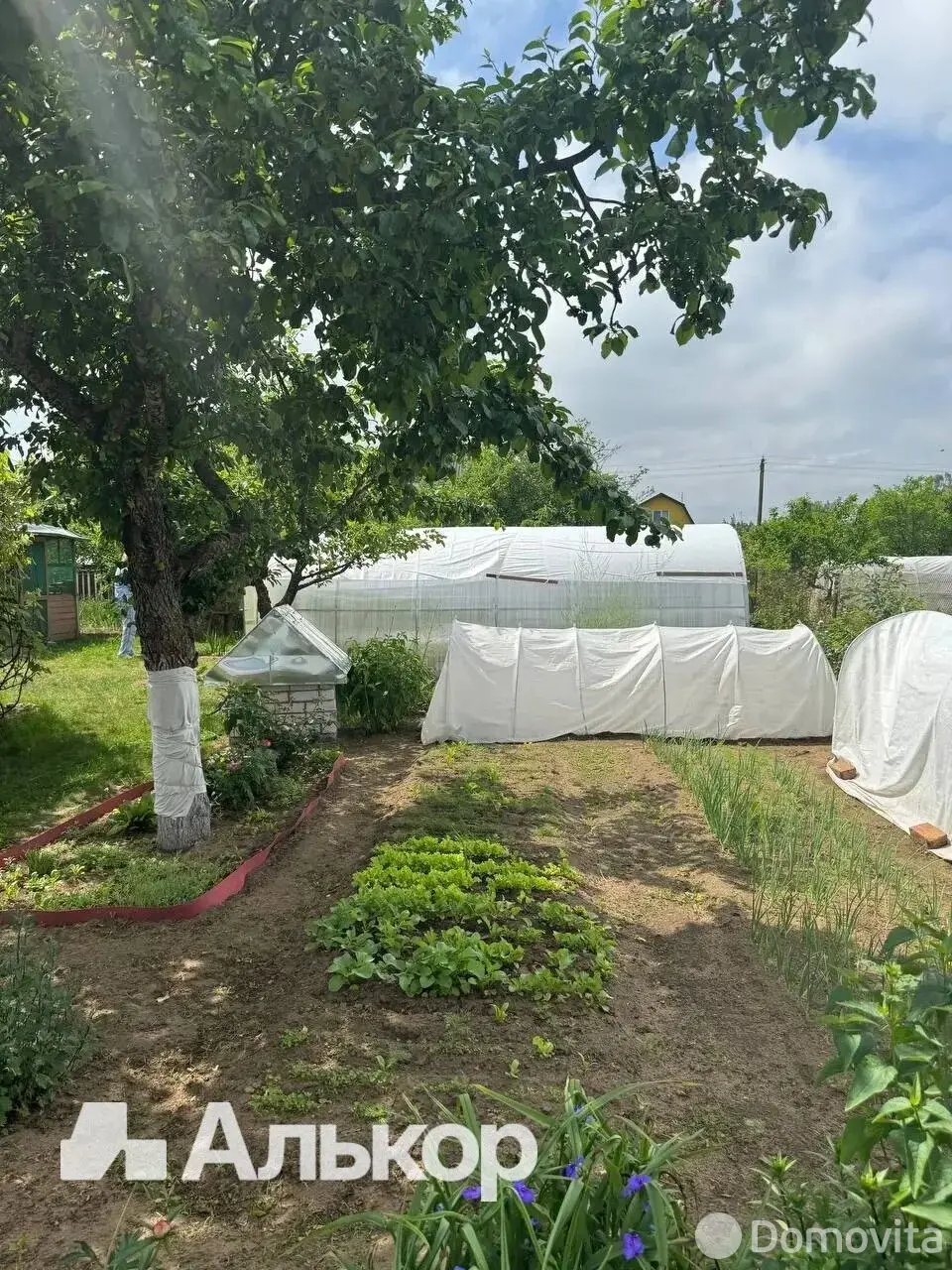 дом, Пищевик Бобруйского района, 