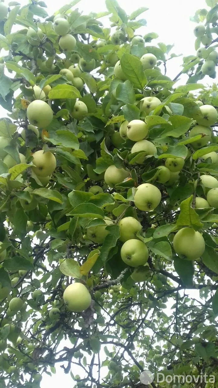 Продажа 2-этажной дачи в ВЯСЕЛКА-1 Минская область, 19500USD, код 182779 - фото 15