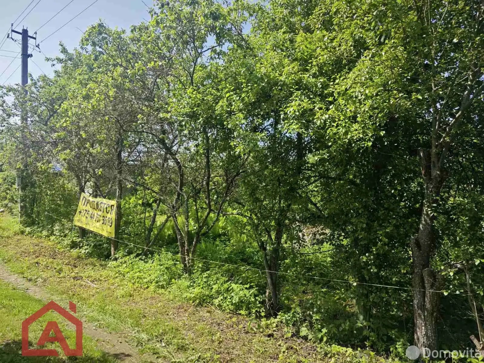 Купить земельный участок, 9 соток, Поляна, Минская область, 13000USD, код 571785 - фото 14