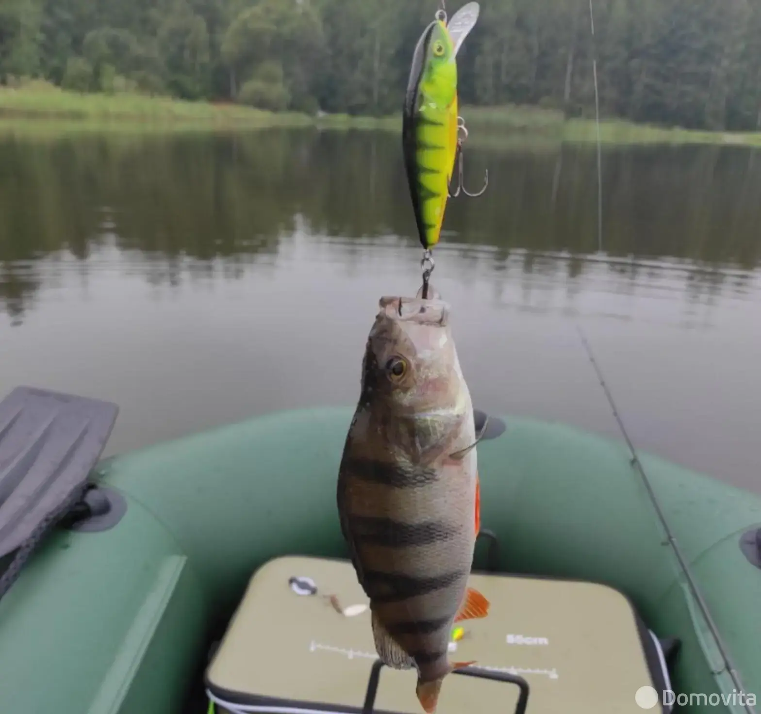 Стоимость продажи участка, Ведрица,