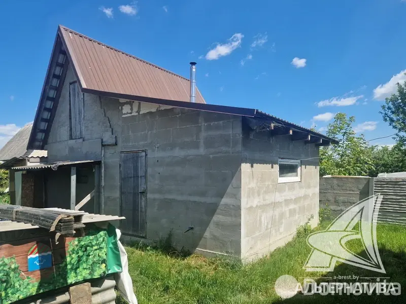 Продажа 1-этажной дачи в Наш Восход Брестская область, 128700BYN, код 186501 - фото 13
