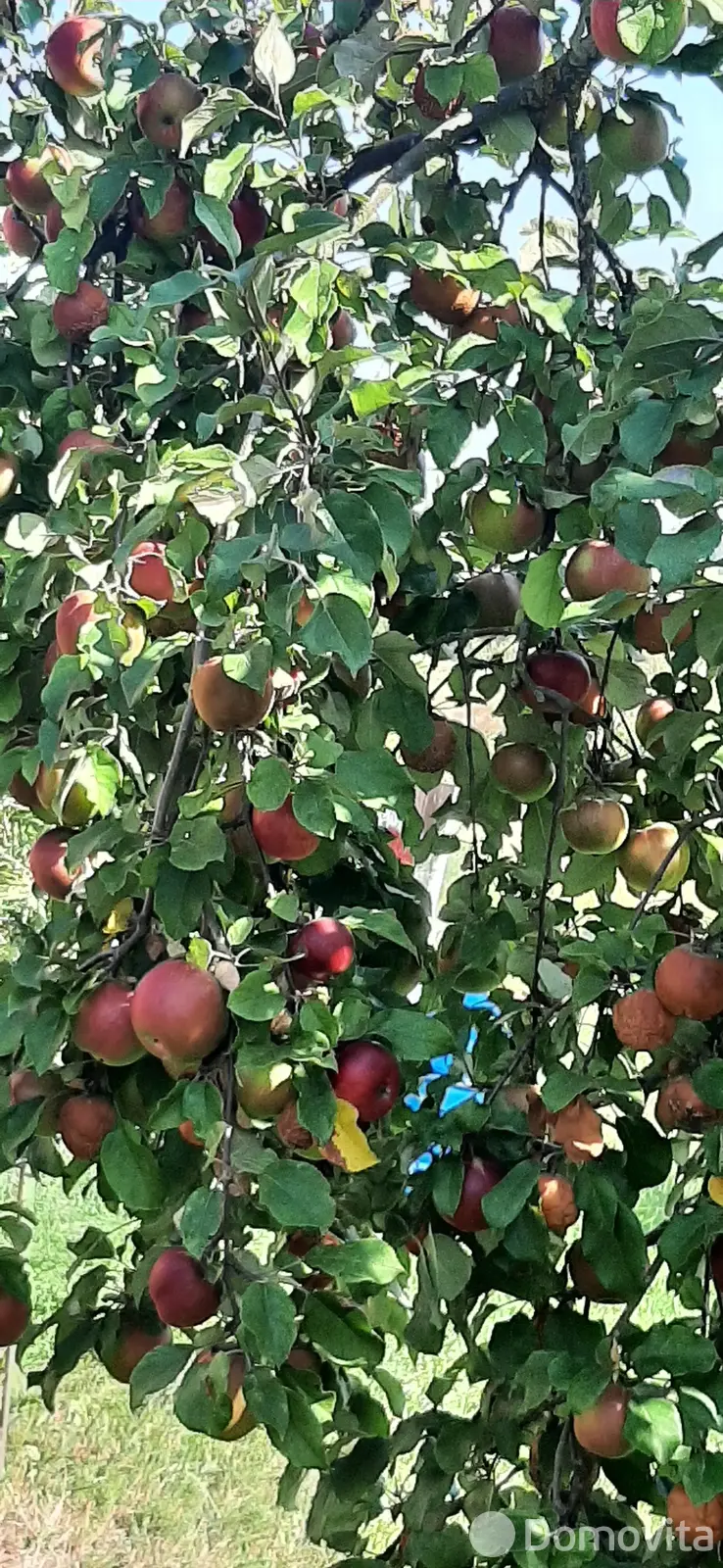 Стоимость продажи дома, Нелидовичи, ул. Молодежная, д. 9/А