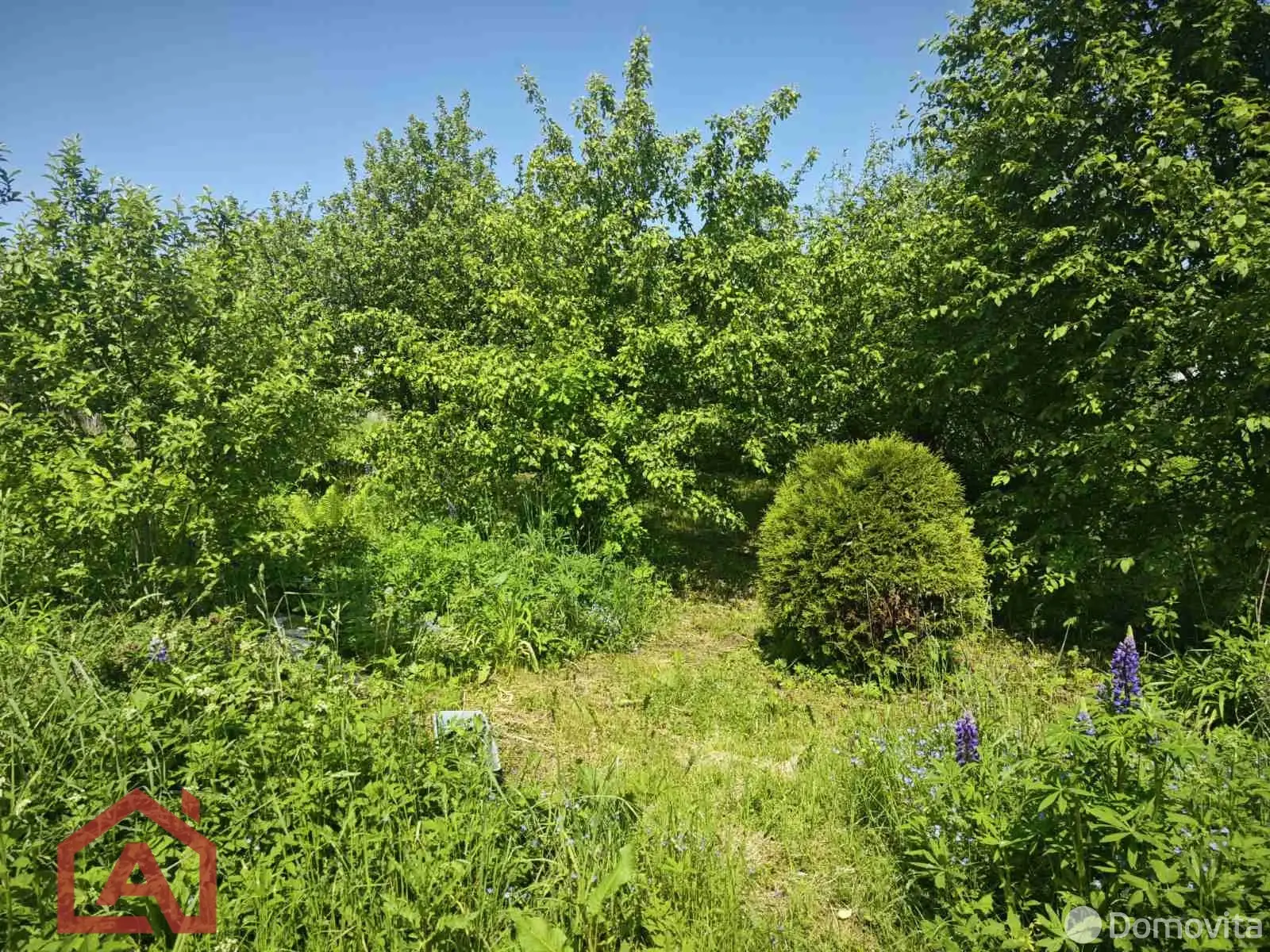 участок, Поляна, 