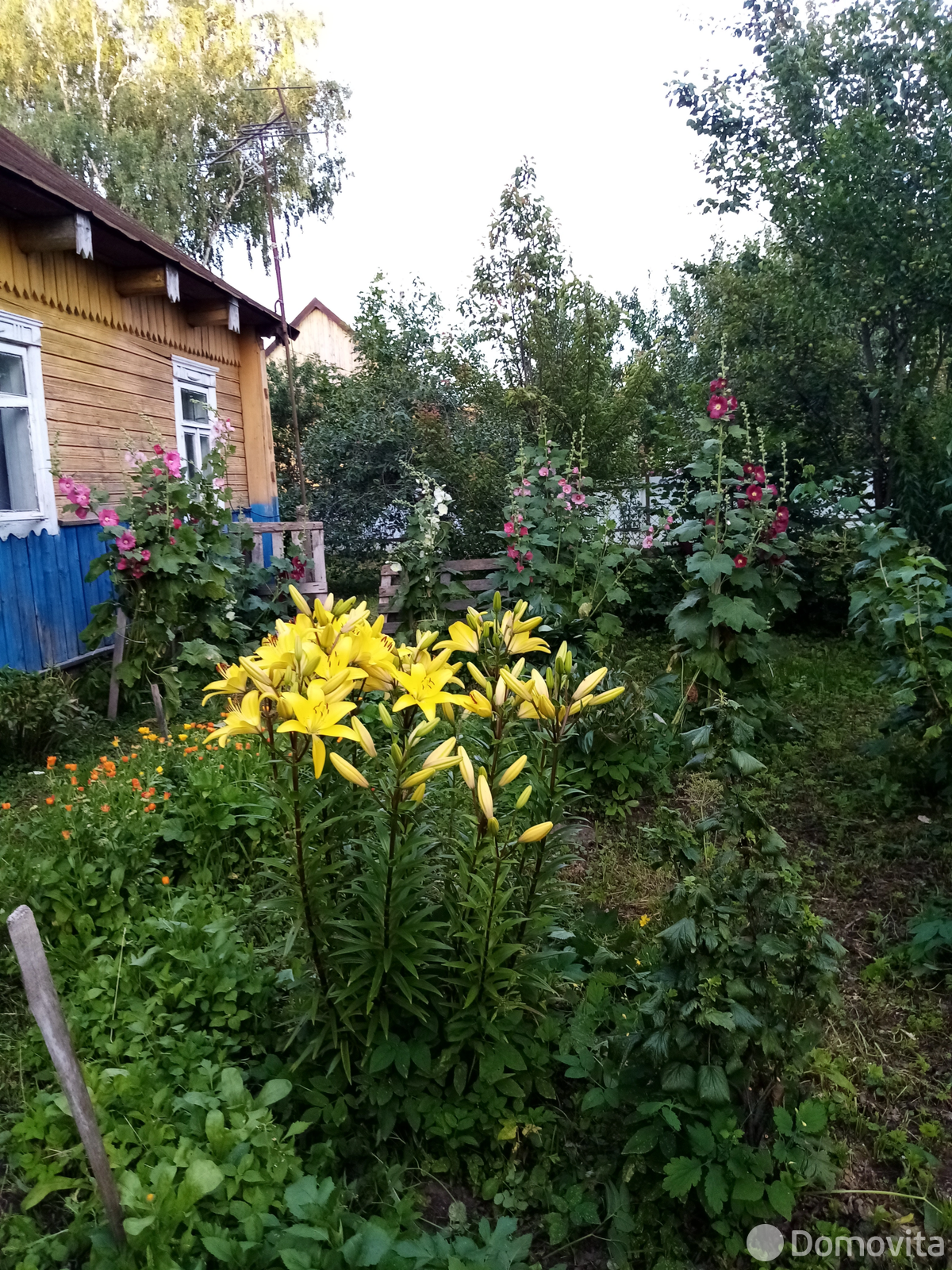 дом, Несвиж, ул. Ленинская, д. 73 