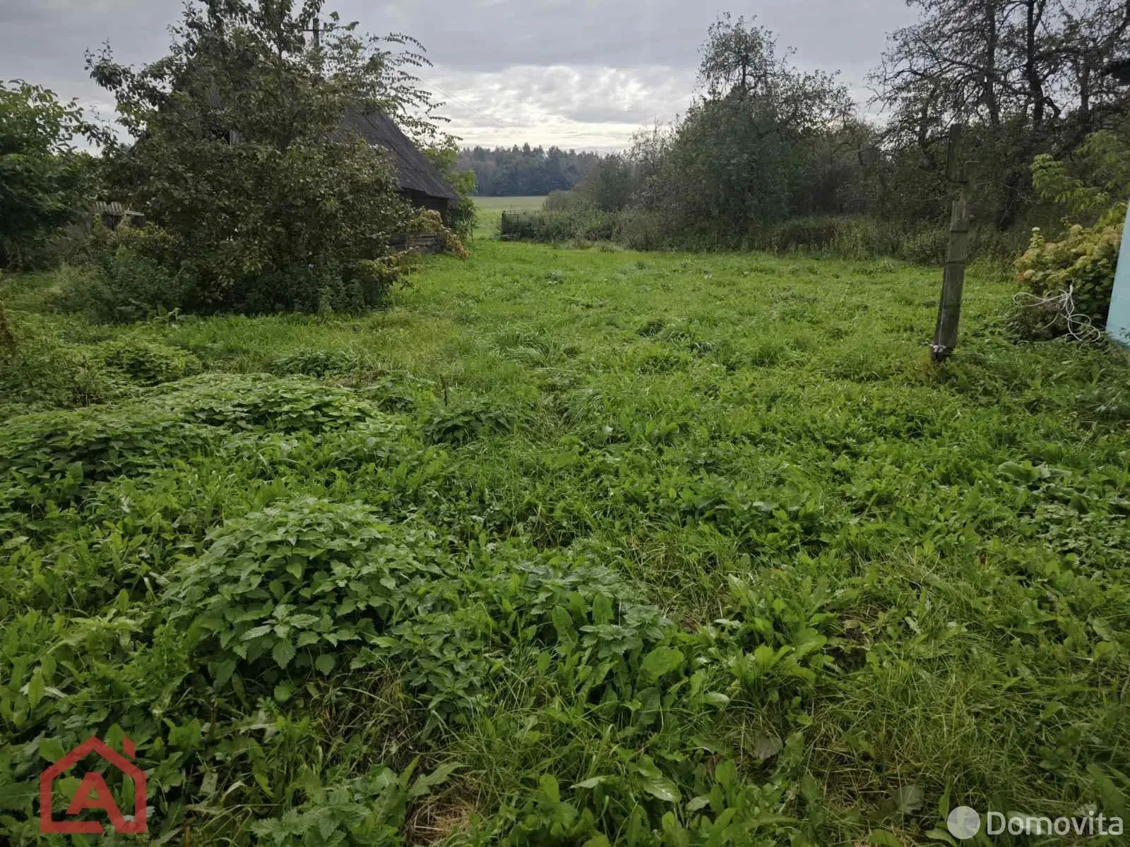 участок, Грини, - лучшее предложение