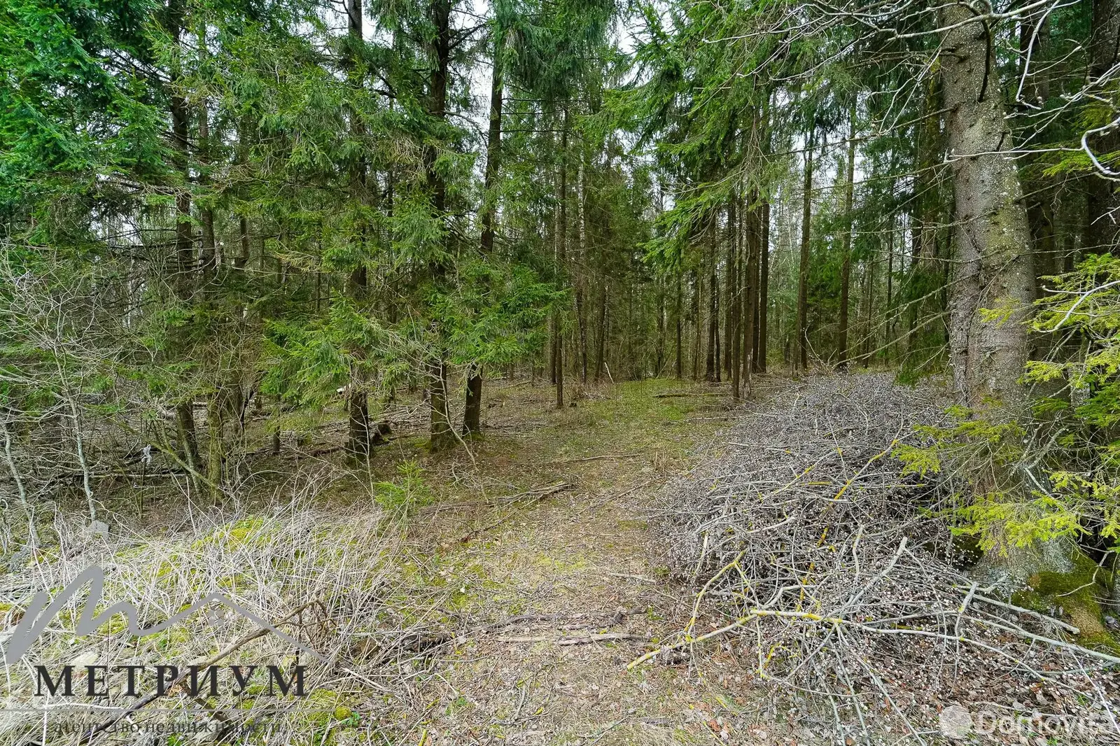 Продажа 1-этажной дачи в Рябиновке Минская область, 48880USD, код 182268 - фото 36