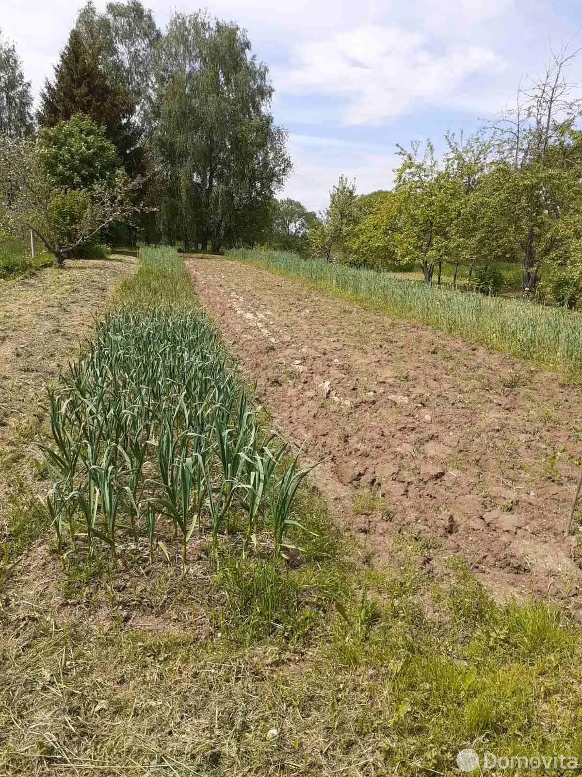 участок, Каверляны,