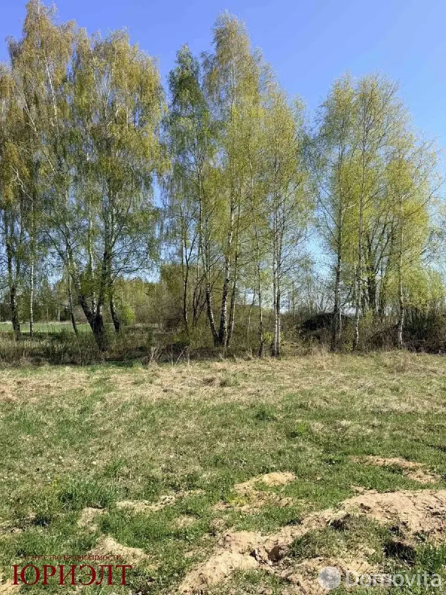 Купить земельный участок, 74.96 соток, Заполье, Гродненская область, 21000USD, код 571865 - фото 27