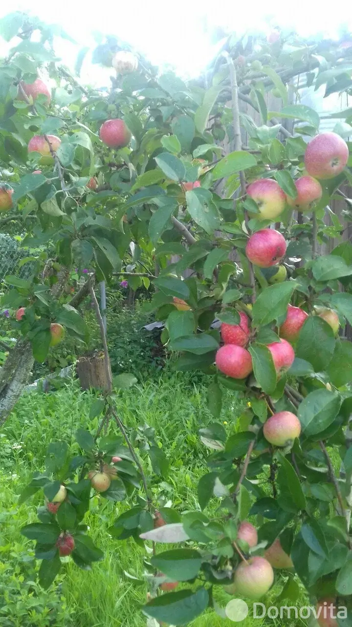 Продажа 2-этажной дачи в ВЯСЕЛКА-1 Минская область, 19500USD, код 182779 - фото 14