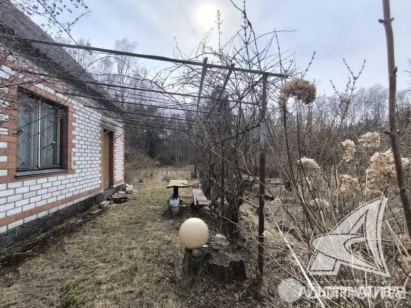 Купить 2-этажную дачу в Буг Жабинковского района Брестская область, 15000EUR, код 181980 - фото 16