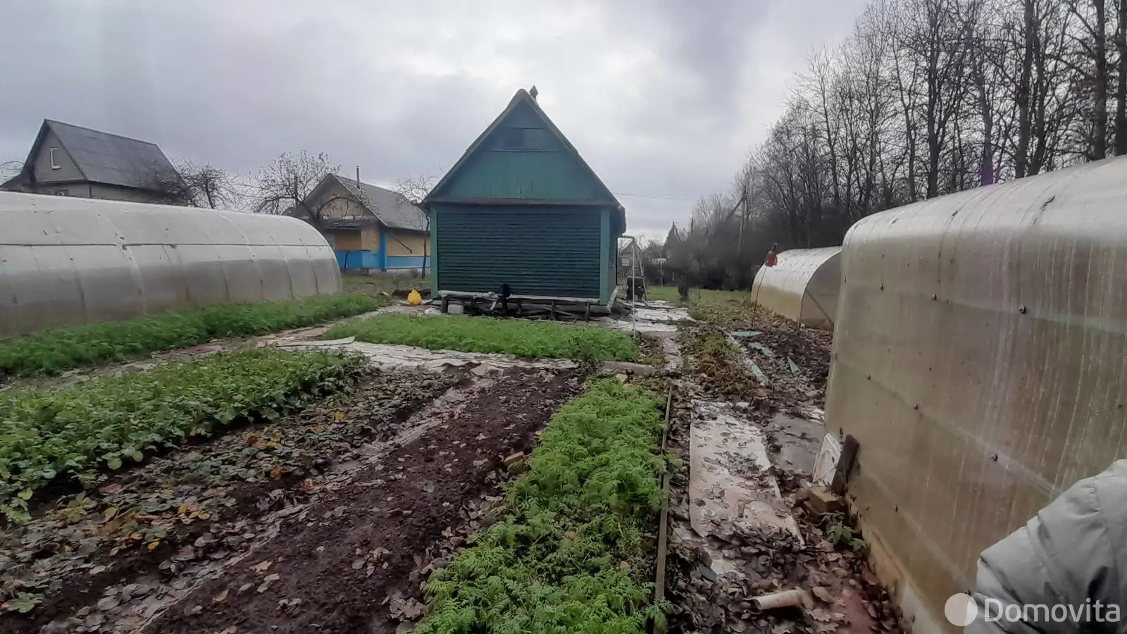 Купить 1-этажную дачу в Новке Витебская область, 5000USD, код 180749 - фото 13