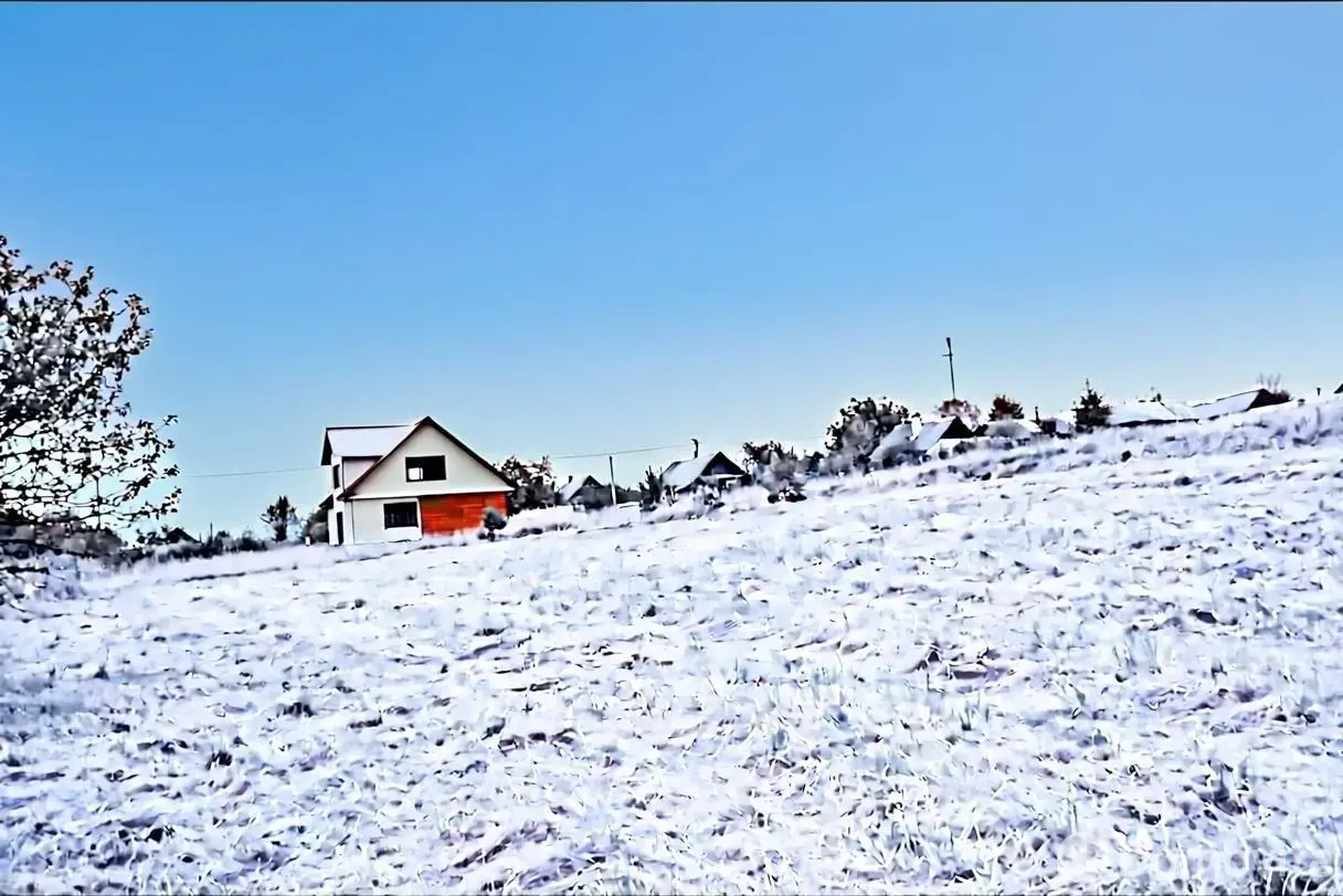 дом, Нивки, ул. Центральная - лучшее предложение
