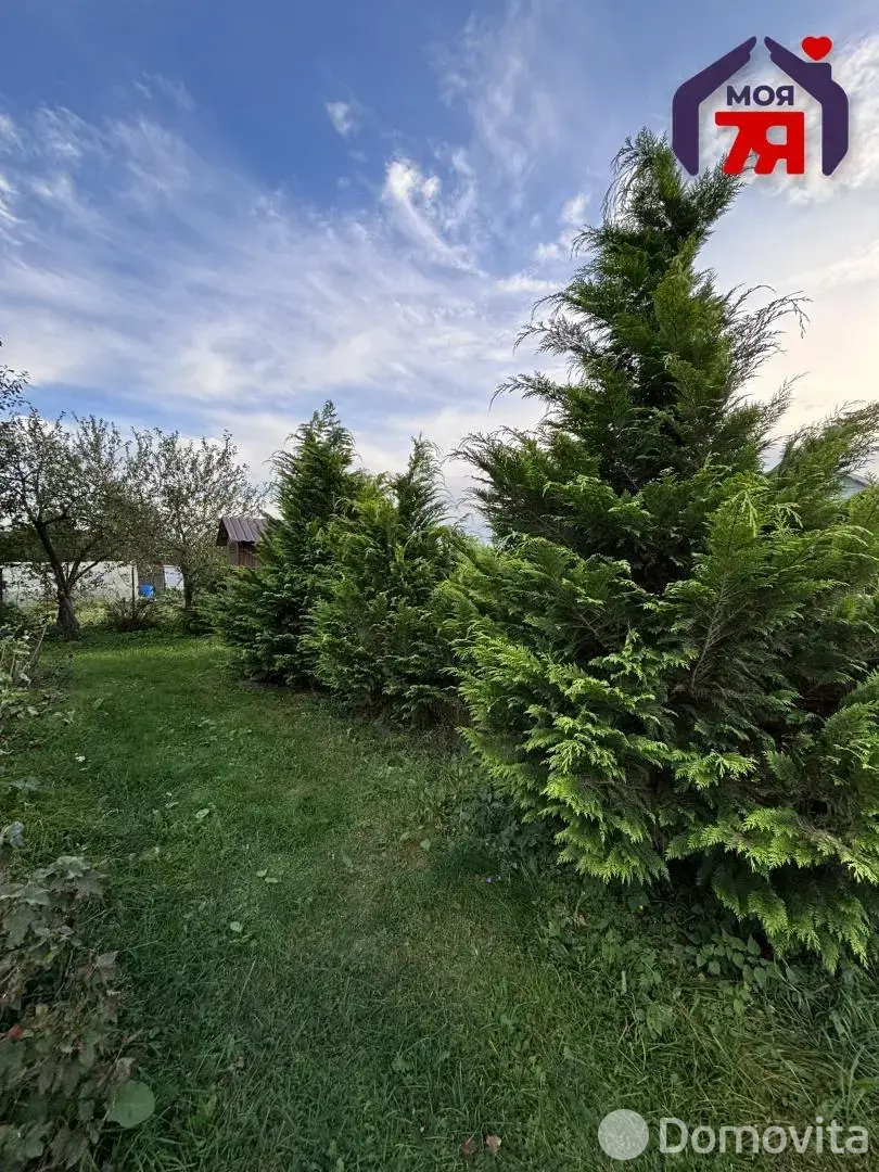 участок, Трубичино, ул. Центральная 