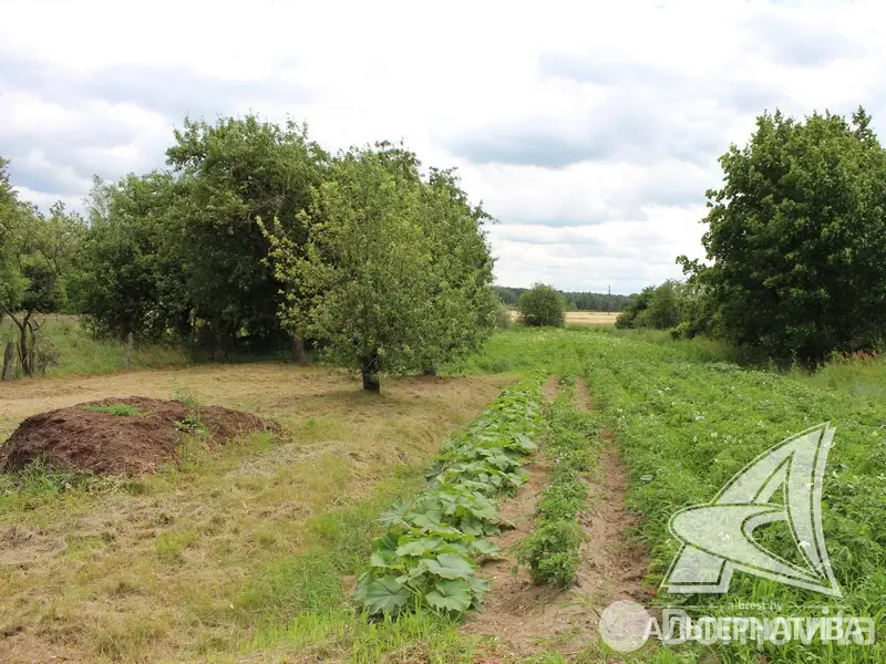 участок, Новосады, 