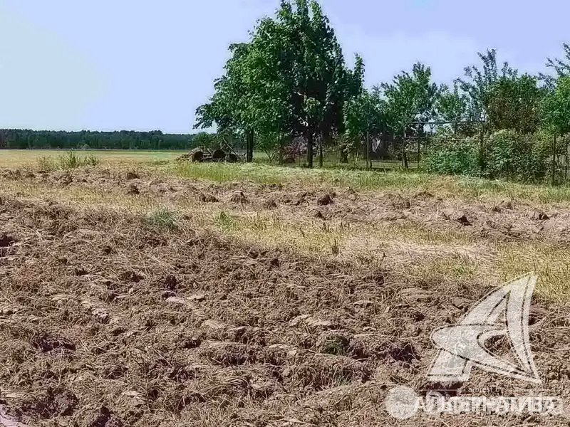 Стоимость продажи участка, Лыщицы, 