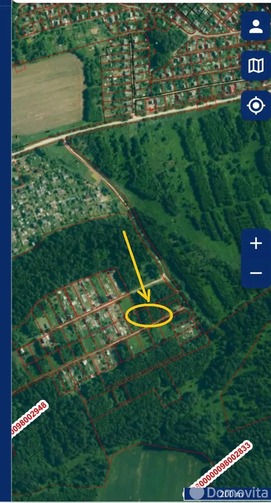 участок, Олехновичи,