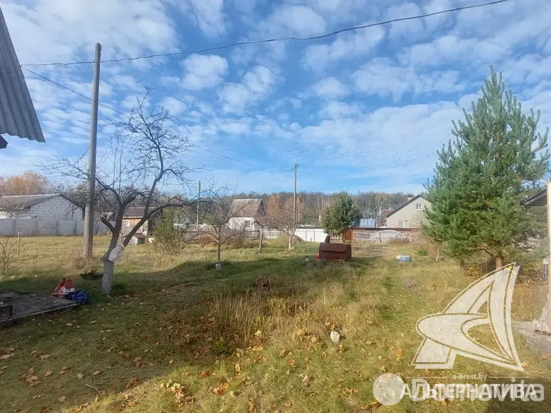 Цена продажи дачи, Золотой корень,