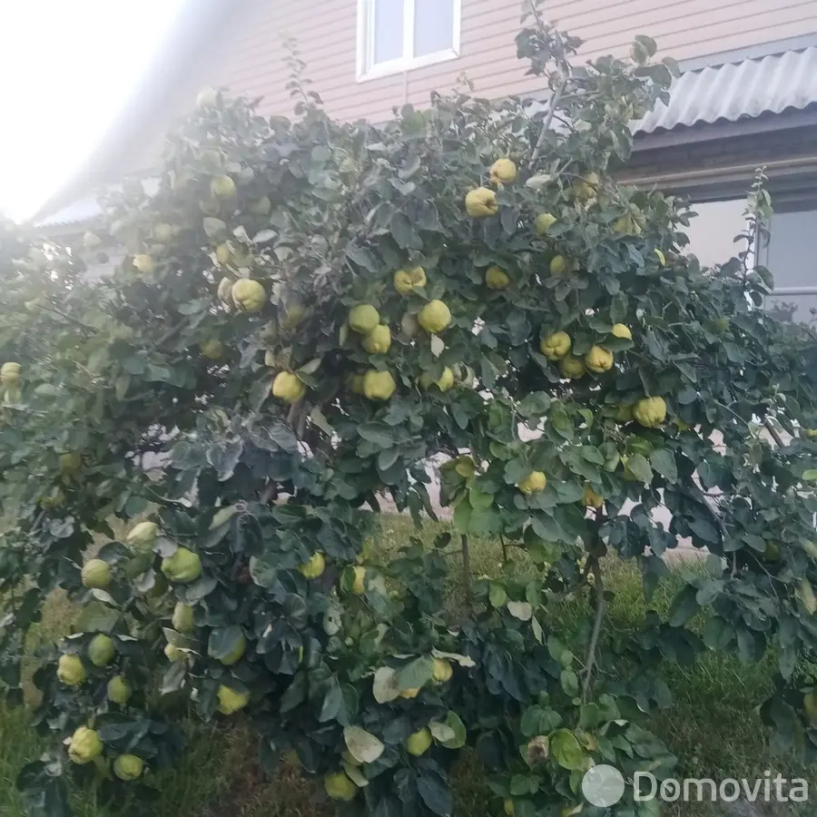 купить коттедж, Пинск, ул. Первомайская