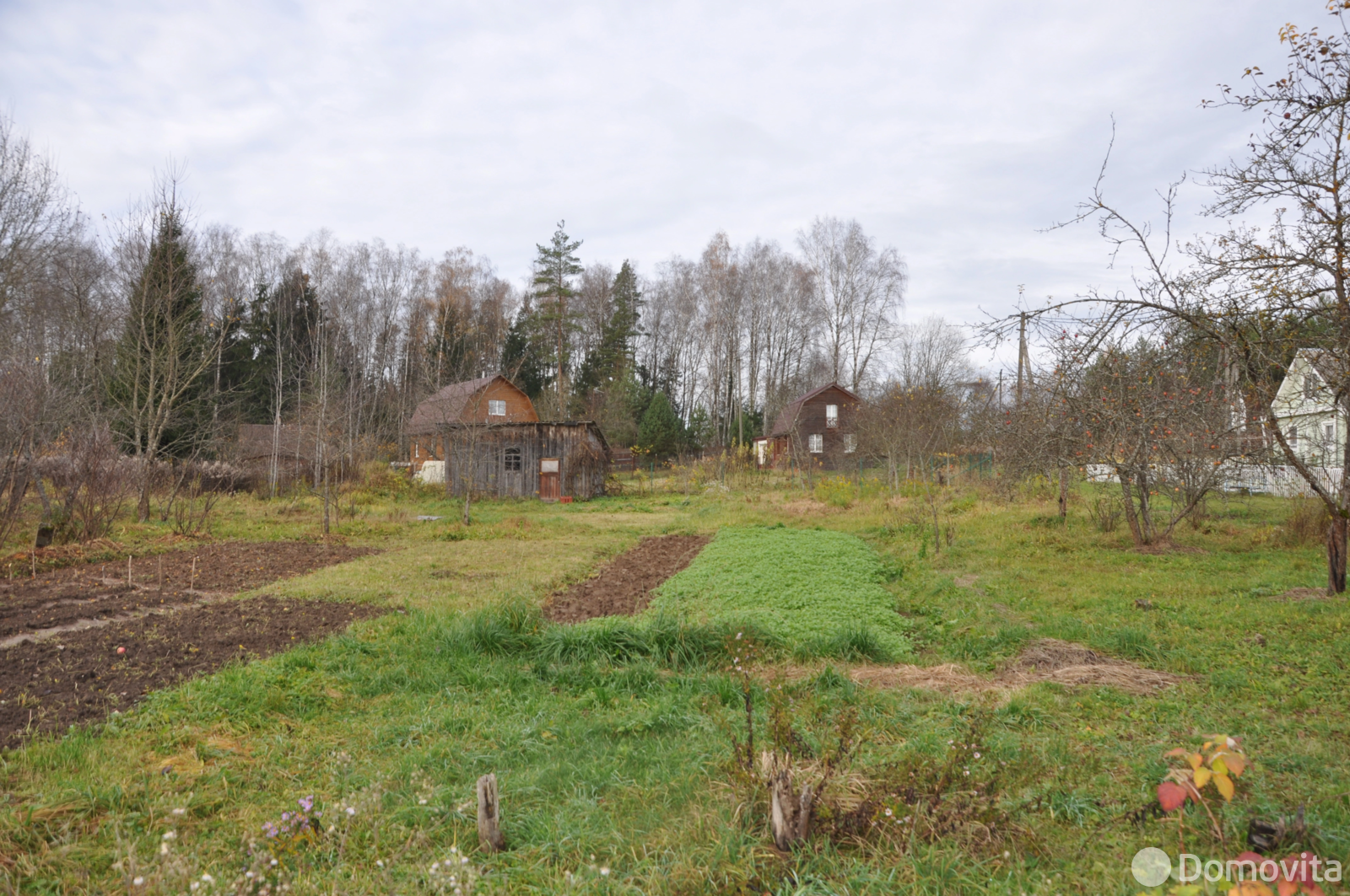 участок, Планета-2001, 