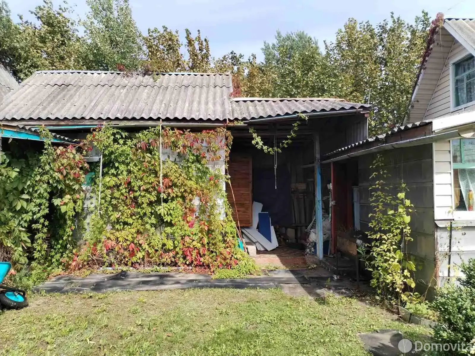дача, Сосновое, 
