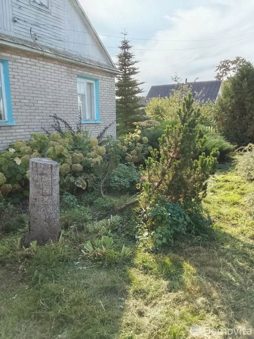 дом, Шищицы, ул. Старое Село от собственника