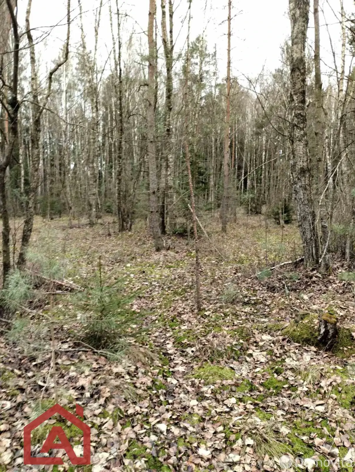 Купить 2-этажную дачу в Труд МЗАЛ Минская область, 6950USD, код 185447 - фото 11