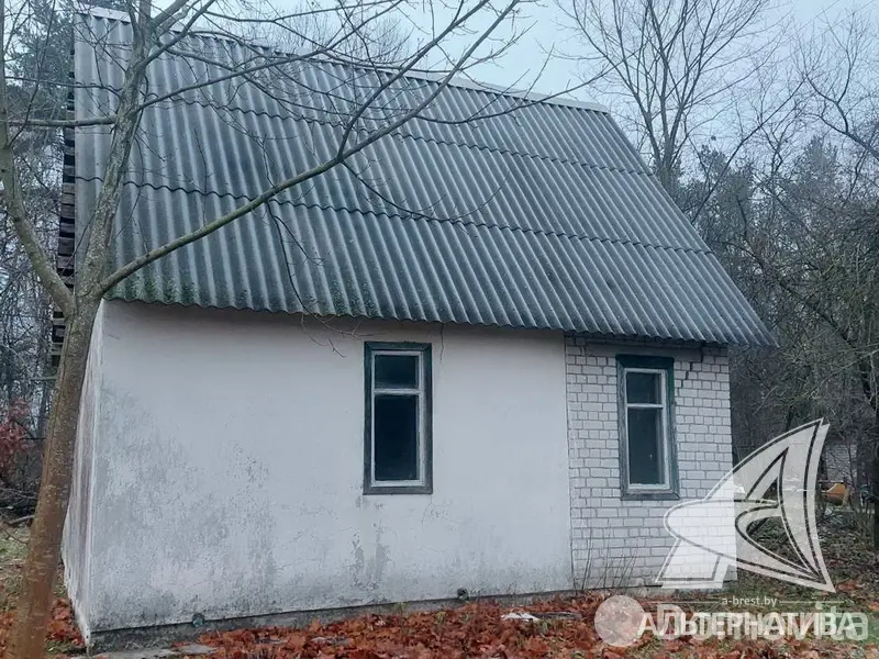 дача, Лесная поляна, 