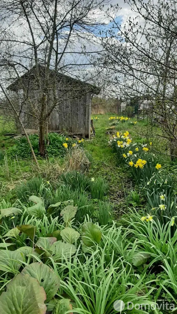 Цена продажи дачи, Дричин, 