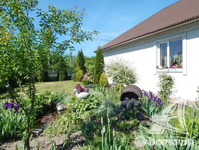 дом, Кобрин,