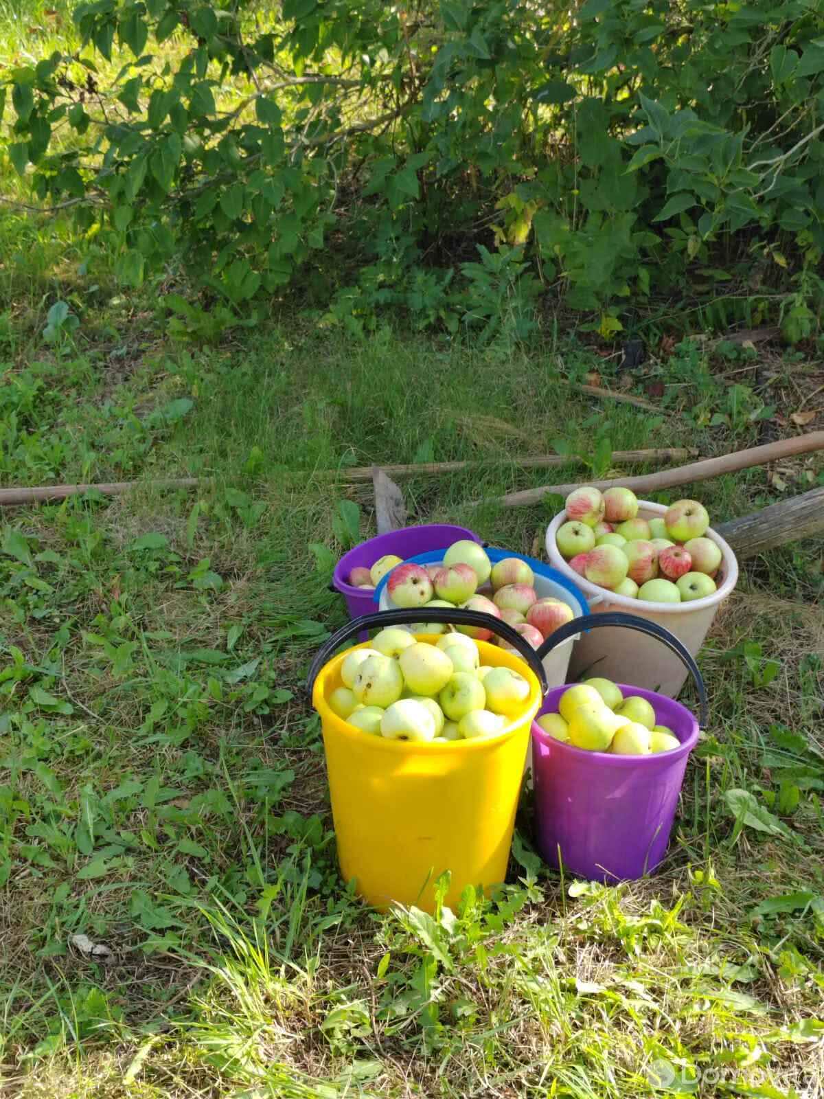 Купить земельный участок, 9.1 соток, Пятигорье-1, Минская область, 8000USD, код 568768 - фото 12