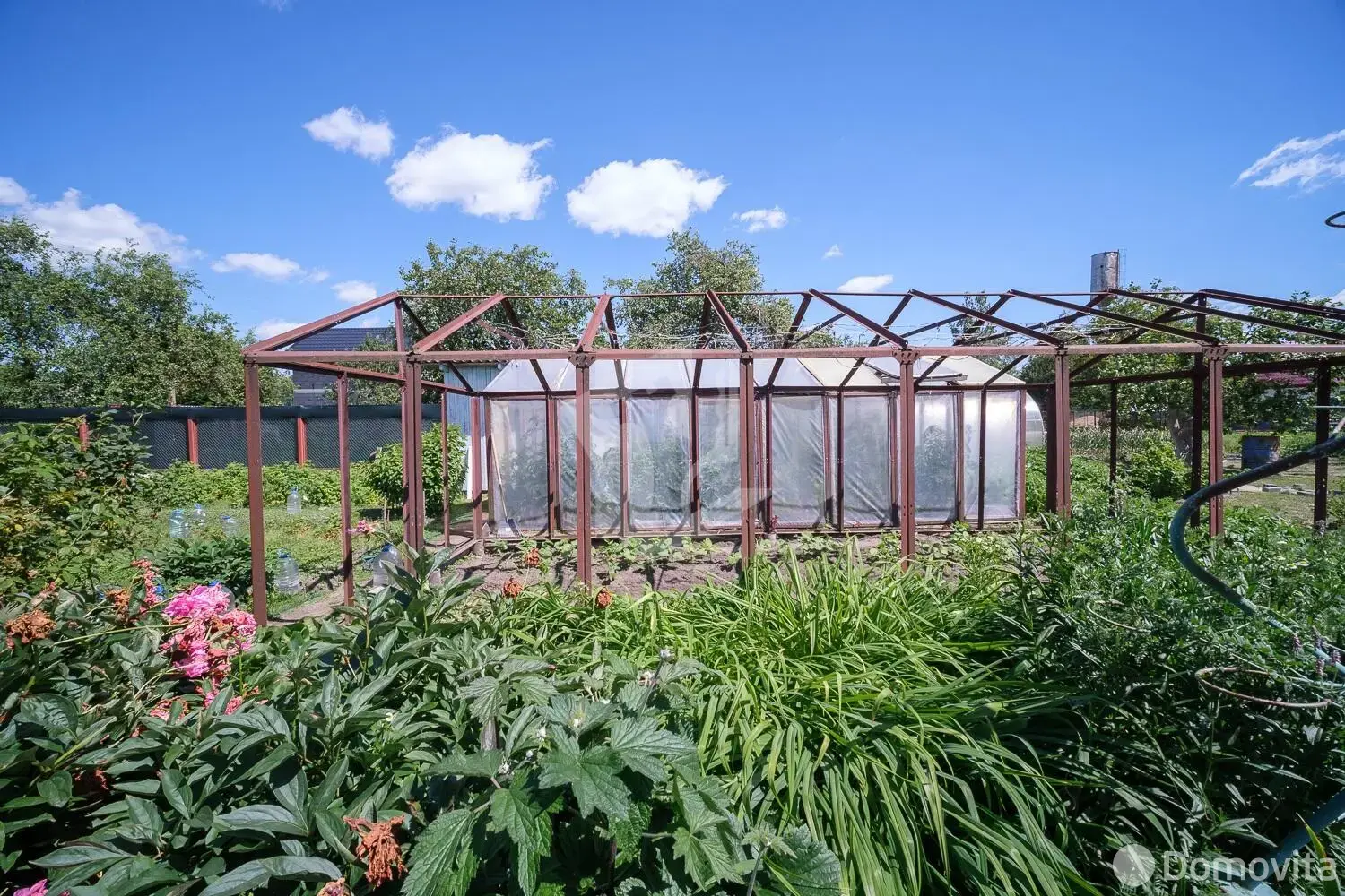 дача, Гигиенист, 