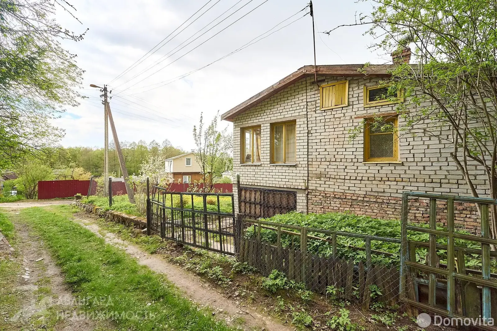 дача, Ромашка Соломореченская, 