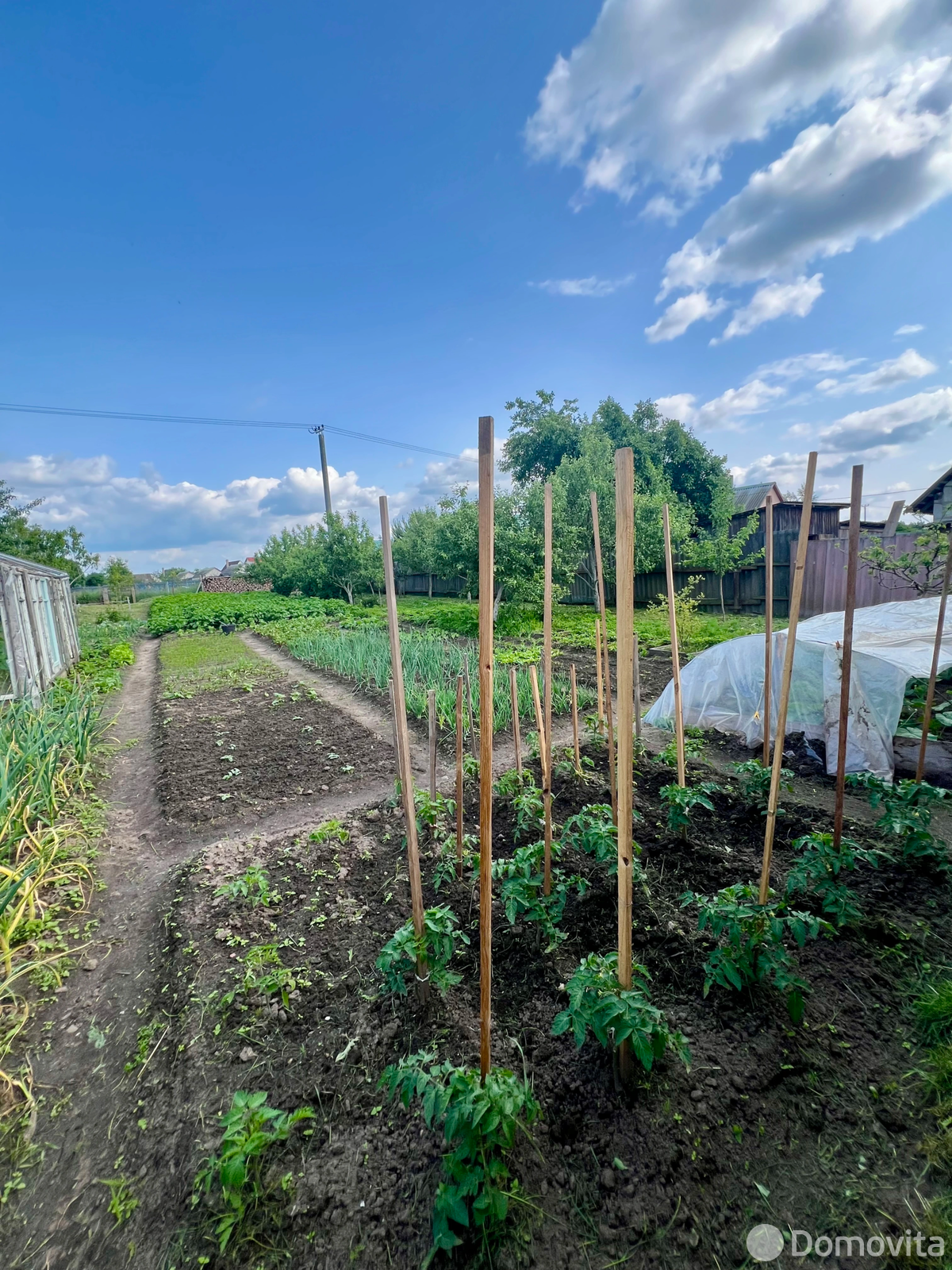 коттедж, Заболоть, - лучшее предложение