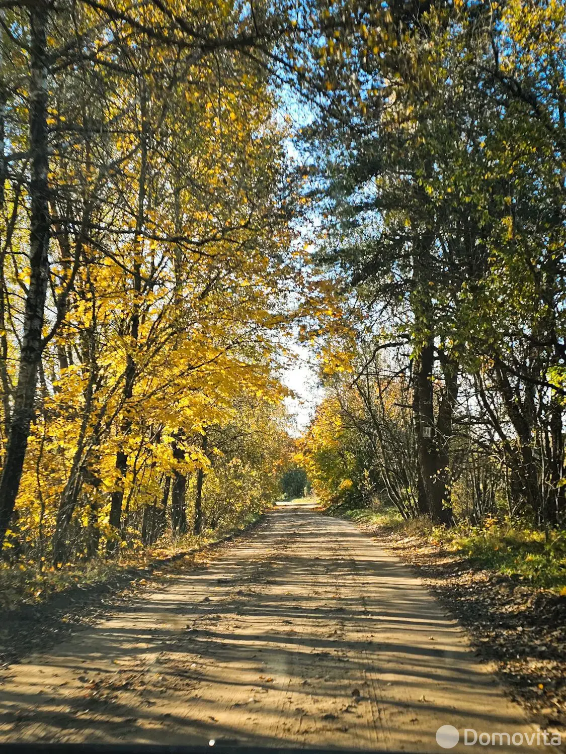Купить 1-этажную дачу в Тонус Минская область, 19900USD, код 180936 - фото 29