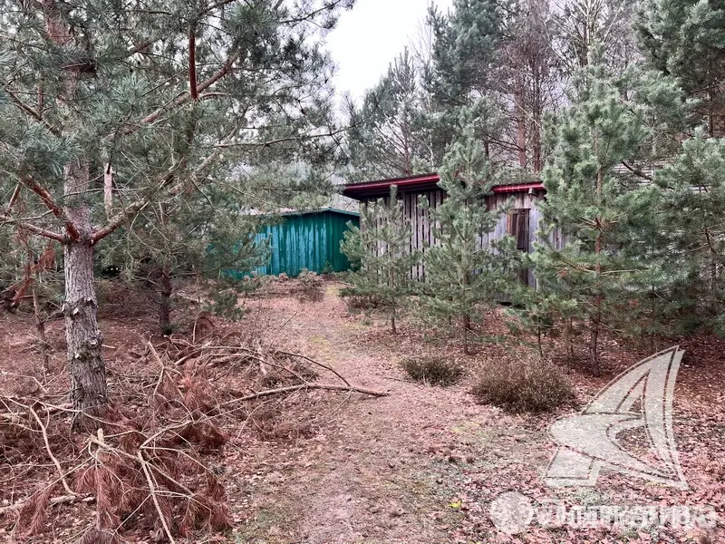 Купить 1-этажную дачу в Алеся-50 Брестская область, 31900USD, код 181350 - фото 23
