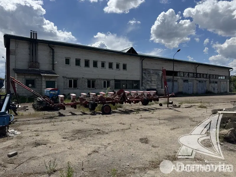объект сферы услуг, Борисово, 