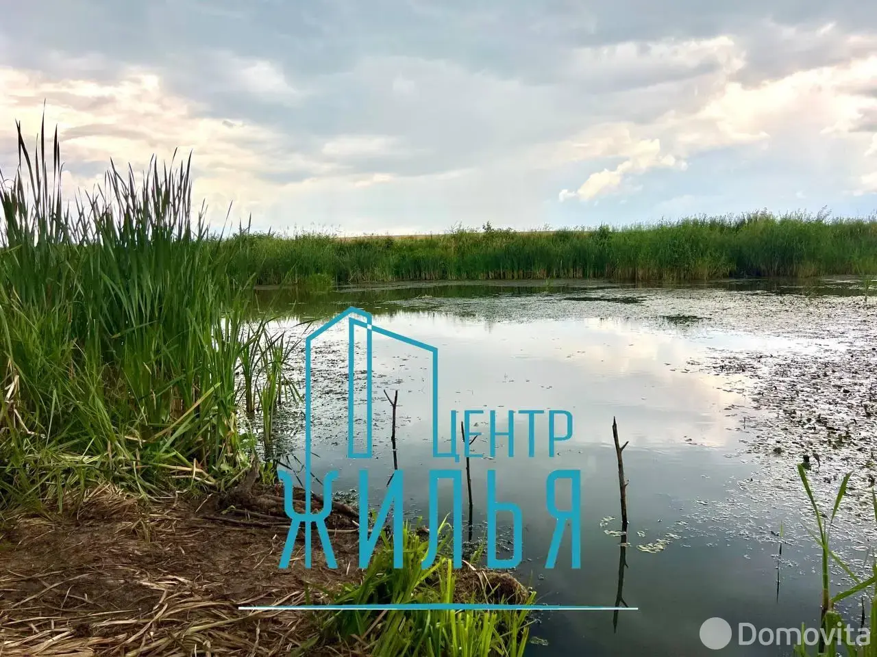 Продажа 1-этажной дачи в Земляне-М.Демидково Гродненская область, 9900USD, код 183499 - фото 20