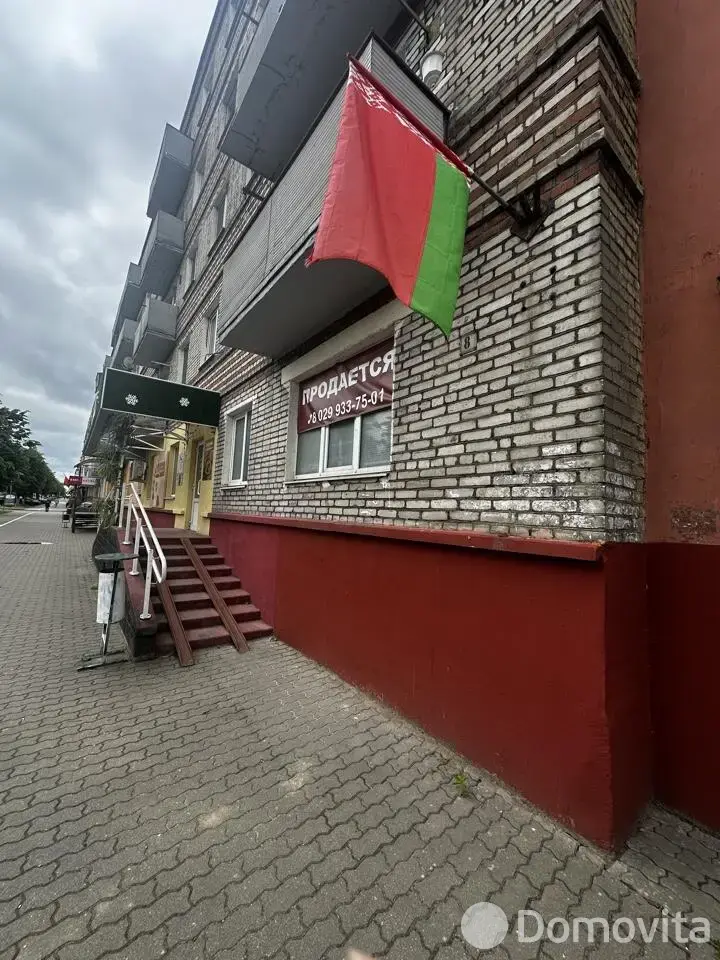 объект сферы услуг, Борисов, ул. Чапаева, д. 8, стоимость продажи 110 817 р.