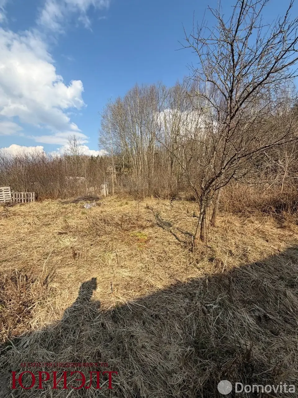 дом, Ляховщина, ул. Центральная, д. 52 