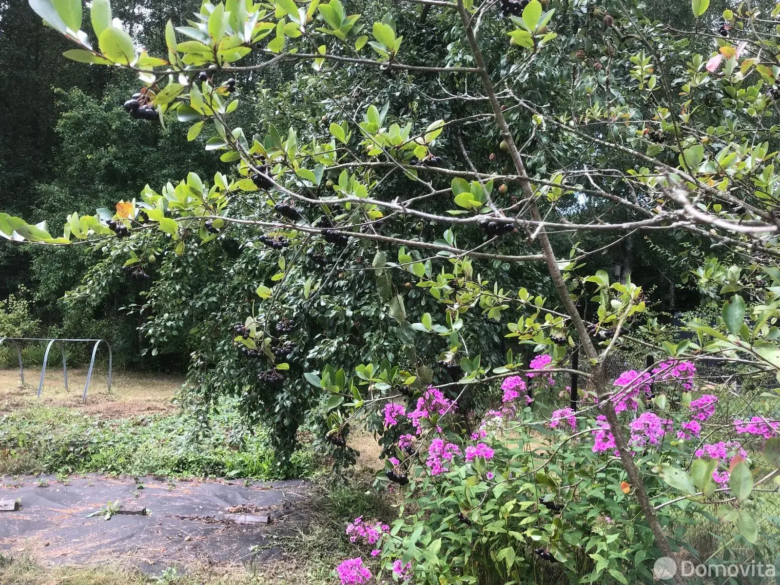 Продажа 2-этажной дачи в Вилия-Лошаны Минская область, 31000USD, код 183317 - фото 24