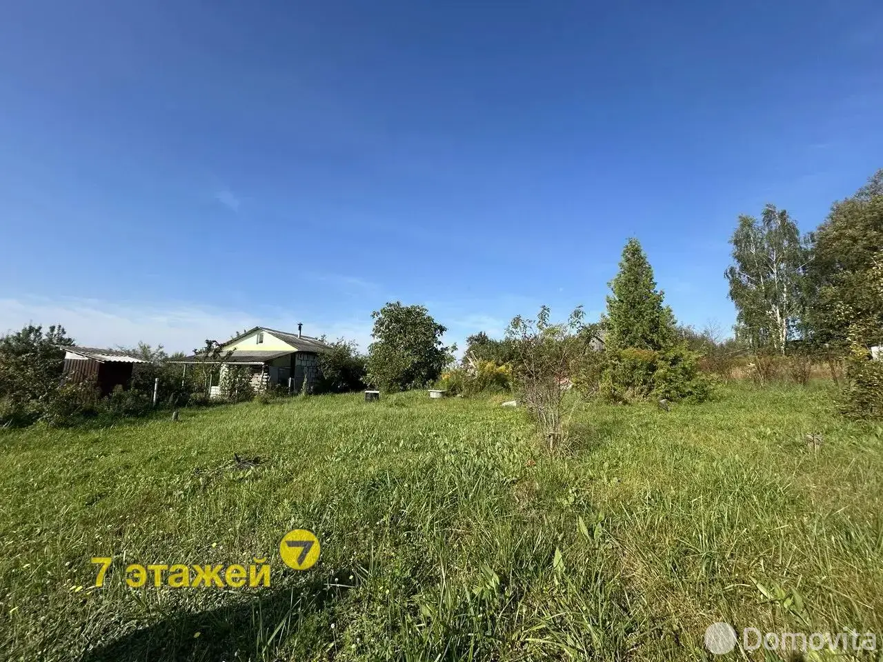 участок, Алеся , 